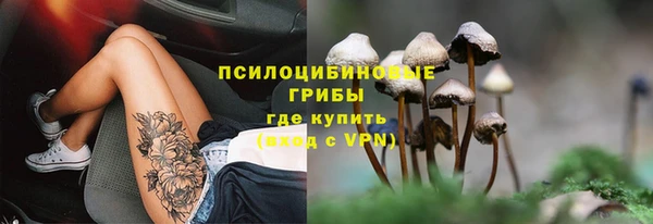 a pvp Алзамай
