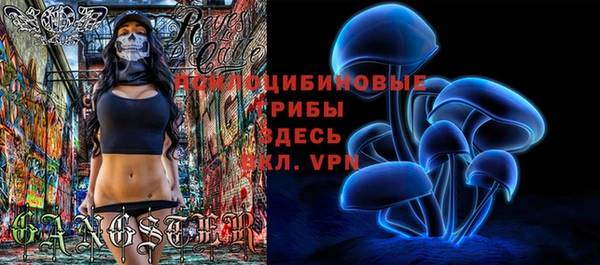 a pvp Алзамай