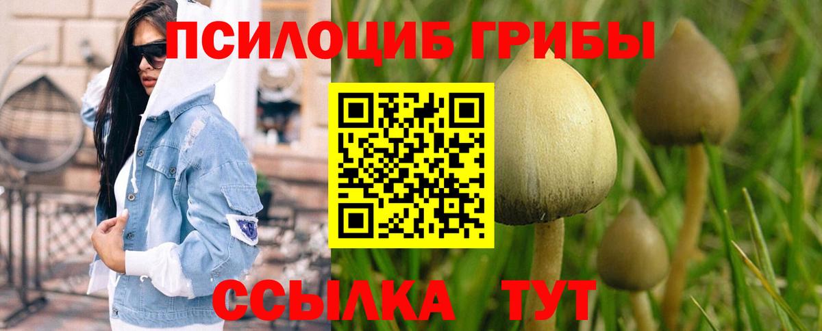 где продают наркотики  Вход с VPN  Киров  Псилоцибиновые грибы Psilocybine cubensis 